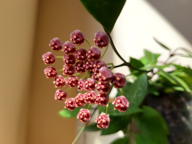 20210816_165448k.jpg