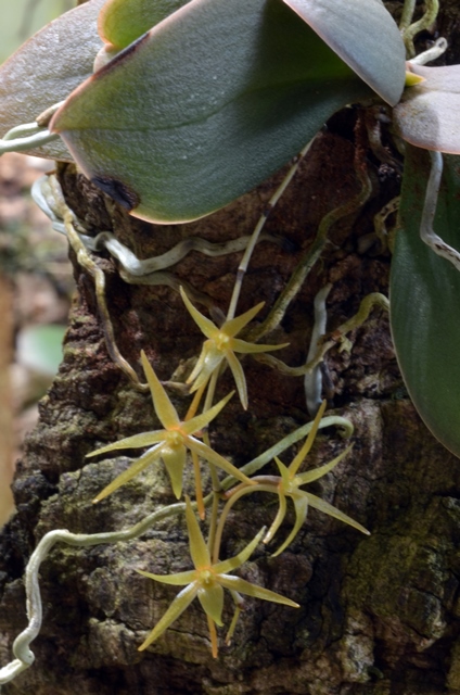 DSC_1363a.jpg