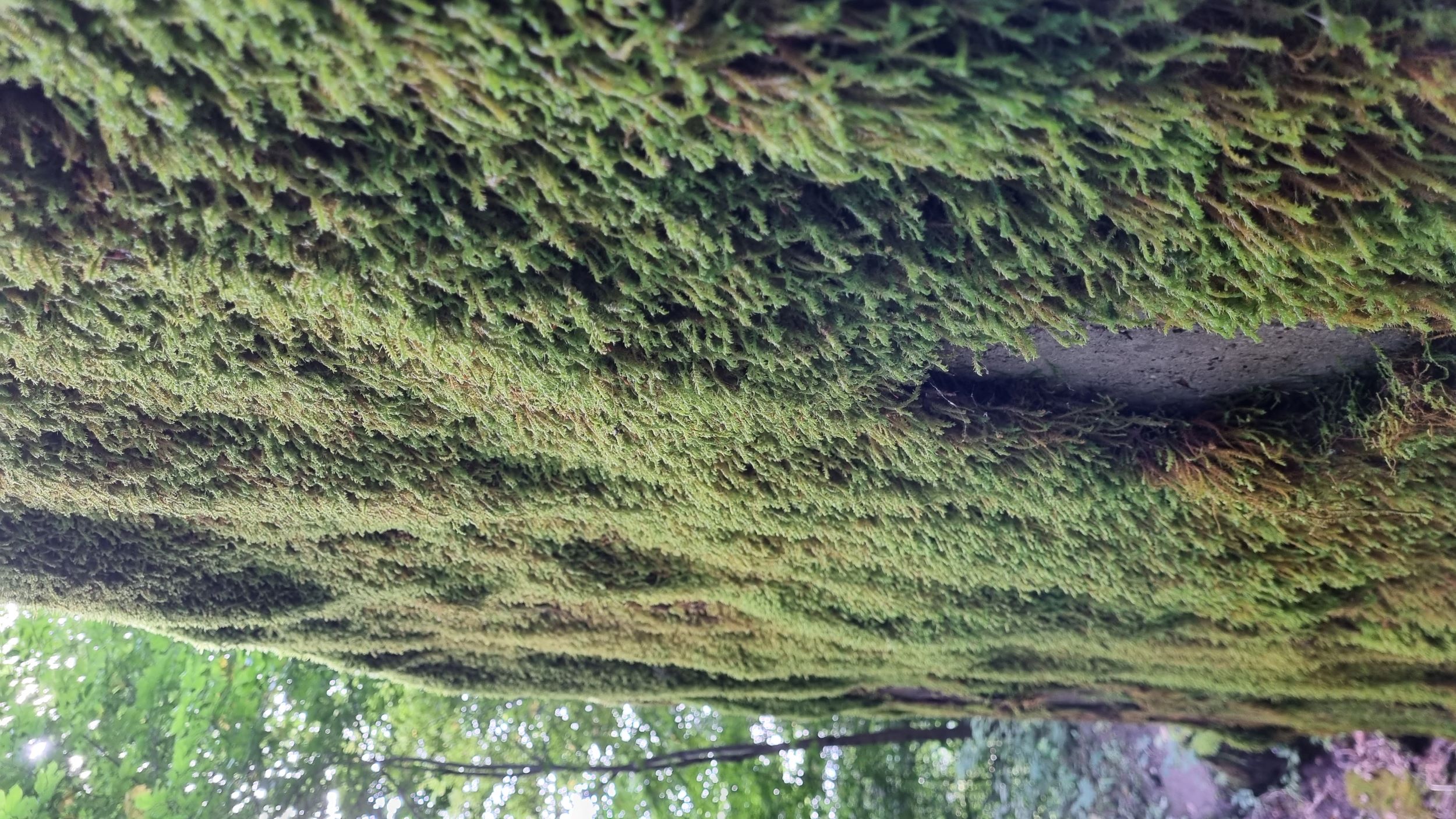 20210828_3.jpg