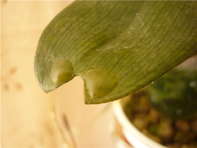 db0fb2393e58.jpg