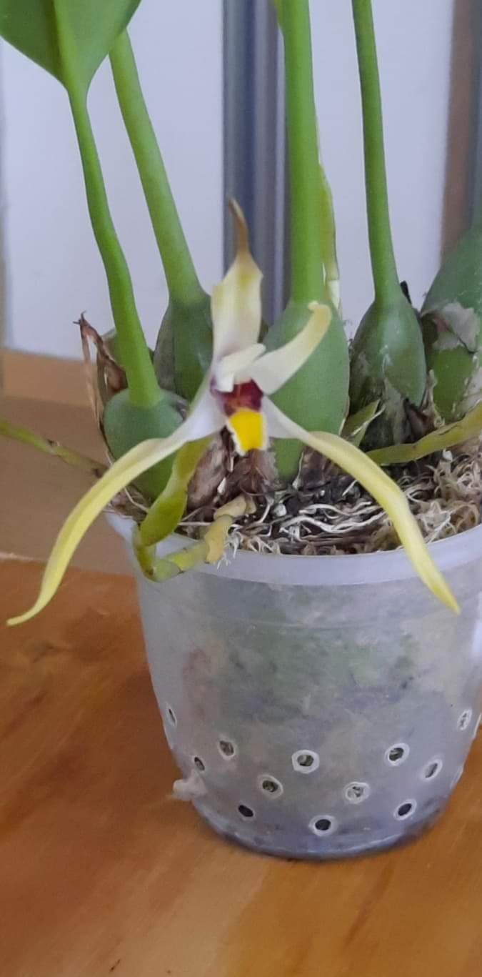 received_630613325049374.jpeg