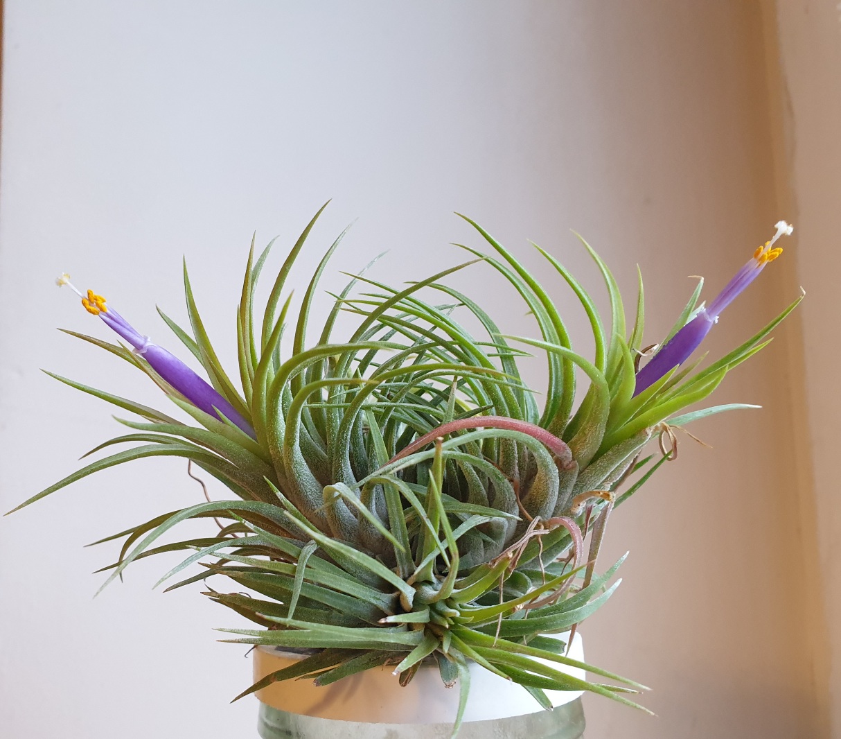 20220116_172453.jpg