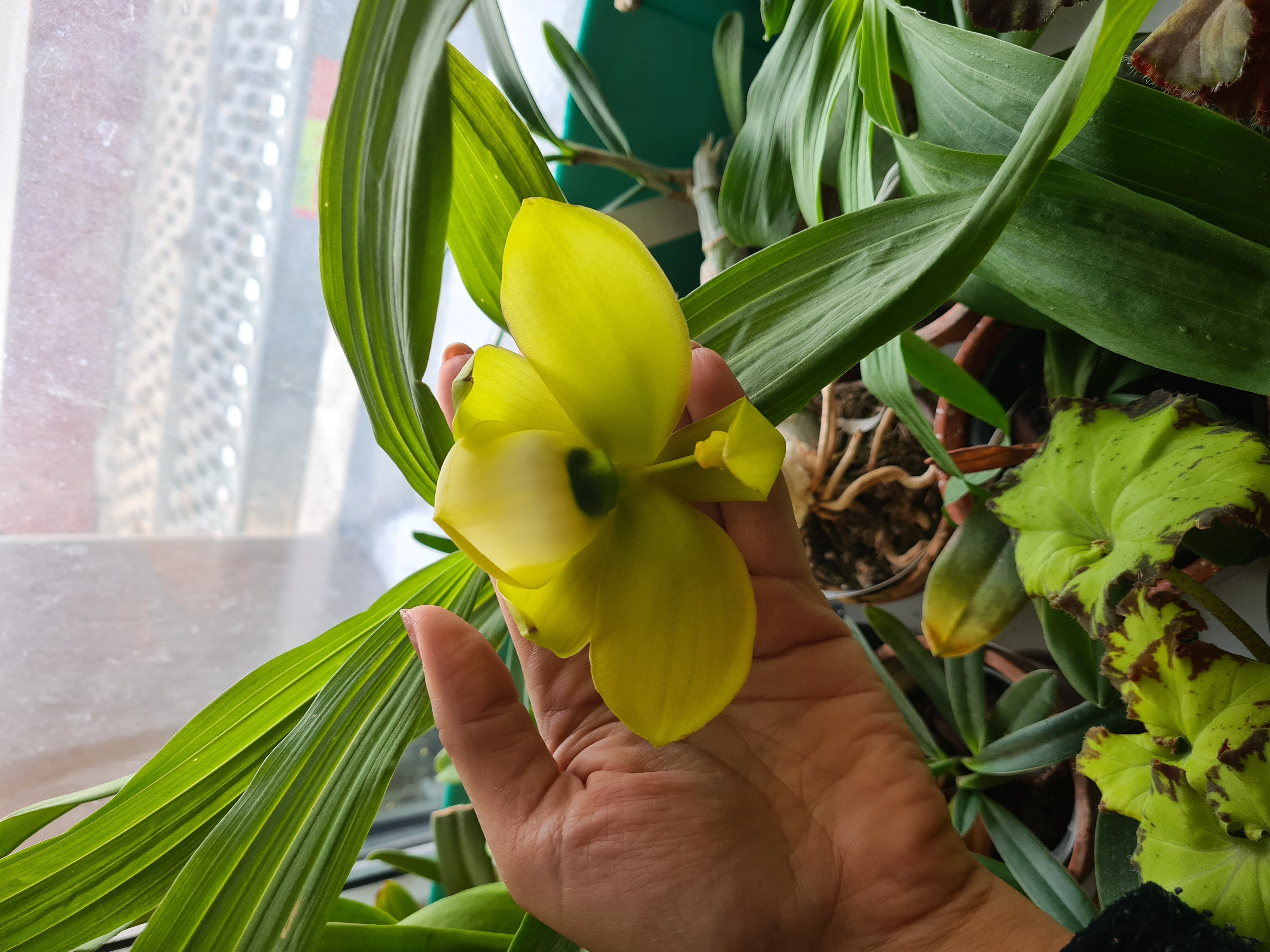 20220122_100755.jpg