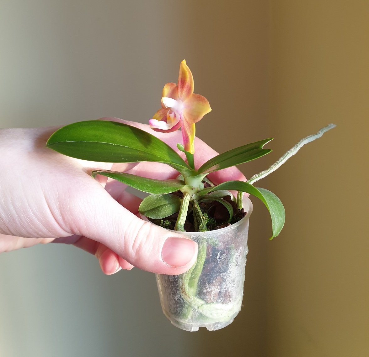 20220123_174535.jpg