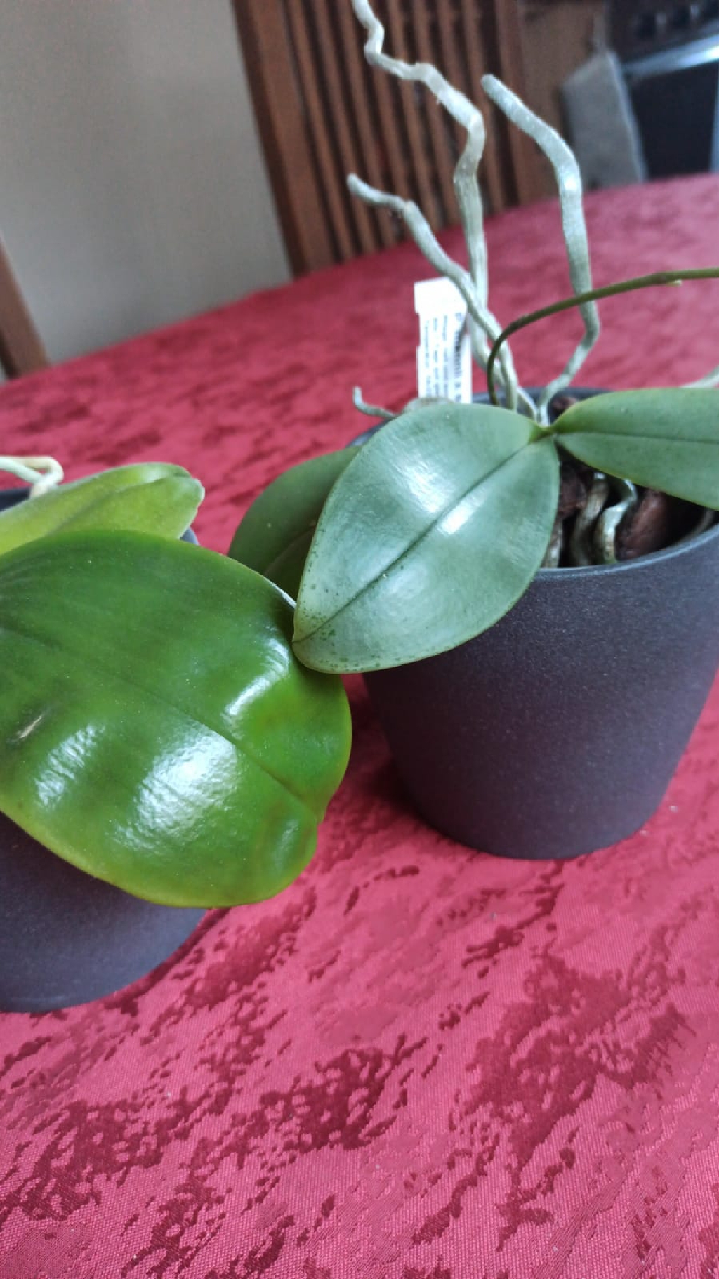 IMG-20220129-WA0021_resize_89.jpg