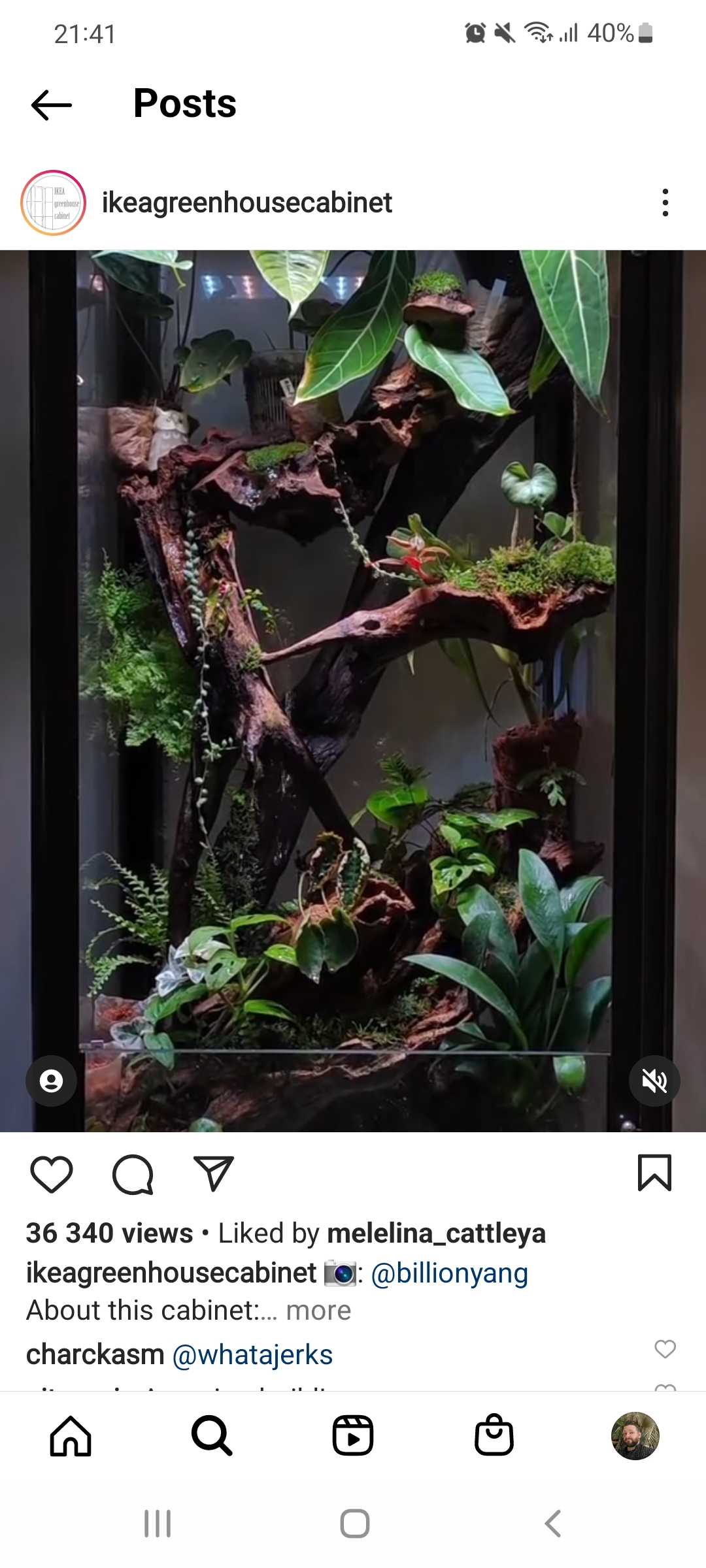 Screenshot_20220202-214158_Instagram.jpg