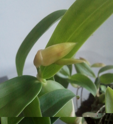 2012-08-01 20.32.38.jpg