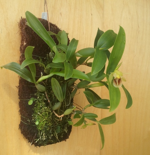 2012-08-03 09.39.16.jpg