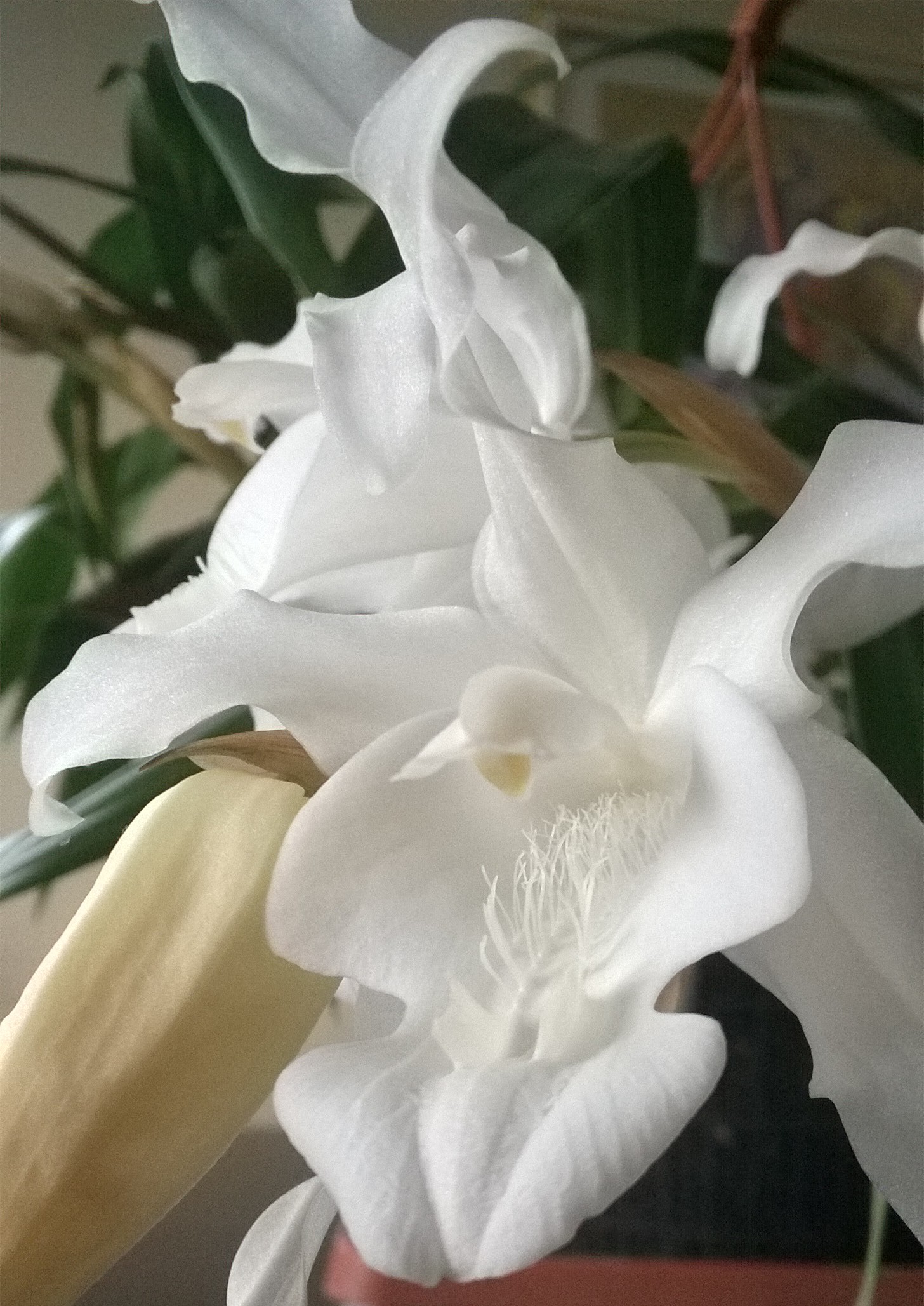WP_20180213_11_55_27_Pro (2).jpg