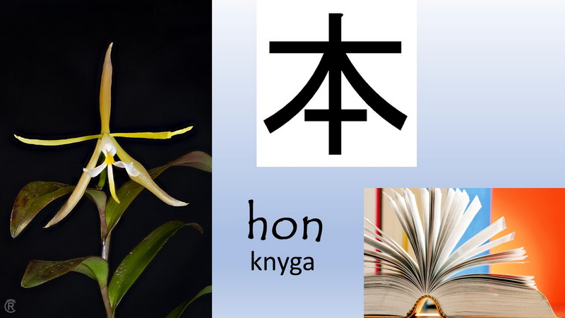 Epidendrum knyga_800.jpg
