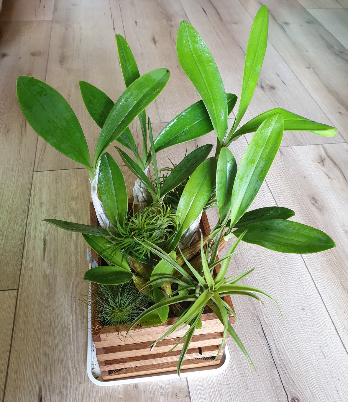20201130_115056.jpg
